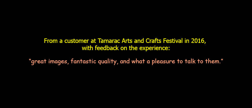 comment from Tamarac customer 2016