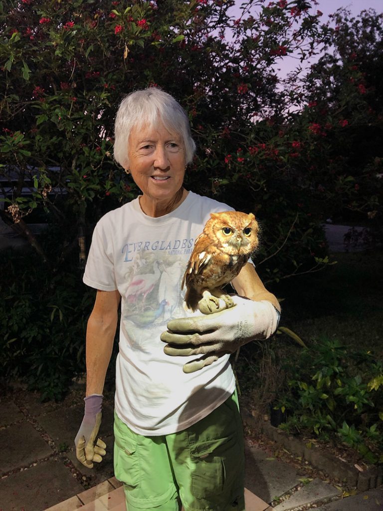 Nancy about to release revived screech owl (iPhone photograph by our good neighbor, Kristi Sellars)