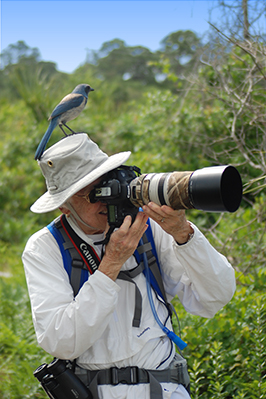 Nancy And Florida Scrub-jay