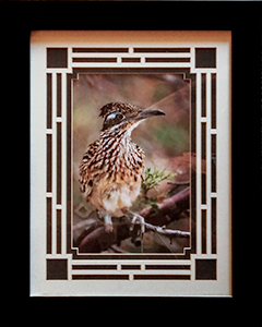 Framed Roadrunner