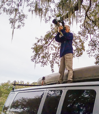 Nancy On Van