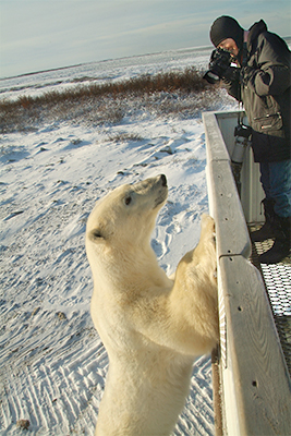 Nancy And Polar Bear