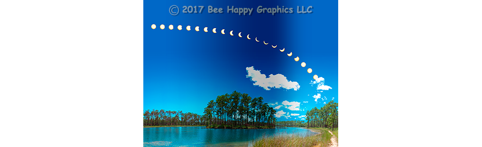 Eclipse Over Long Pine Key