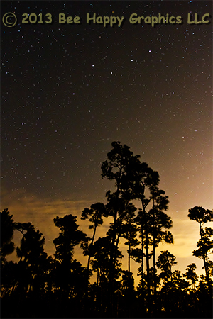 Midnight In The Pinelands