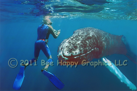 Humpback Whale and Diver