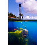 Snorkeling near Cape Florida Light