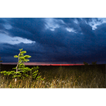 Nautical Twilight In The Glades