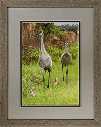 Framed Sandhills On Stroll 9 or 17