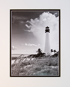 Matted Cape Florida Lt 7