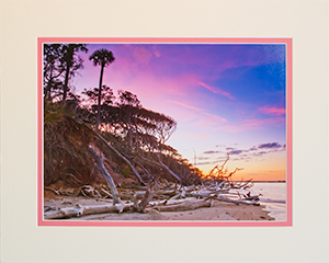 Matted Trees in Their Twilight 6