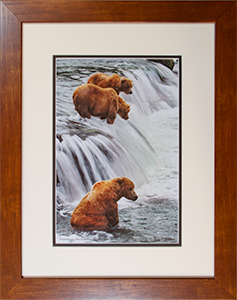 Framed Three Grizzlies 3