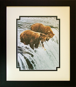 Framed Grizzlies & Salmon 1