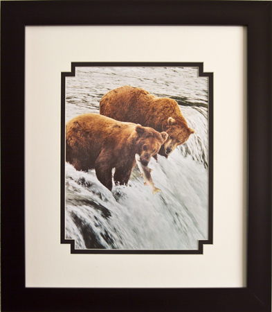 Framed image of Brown Bears and Salmon